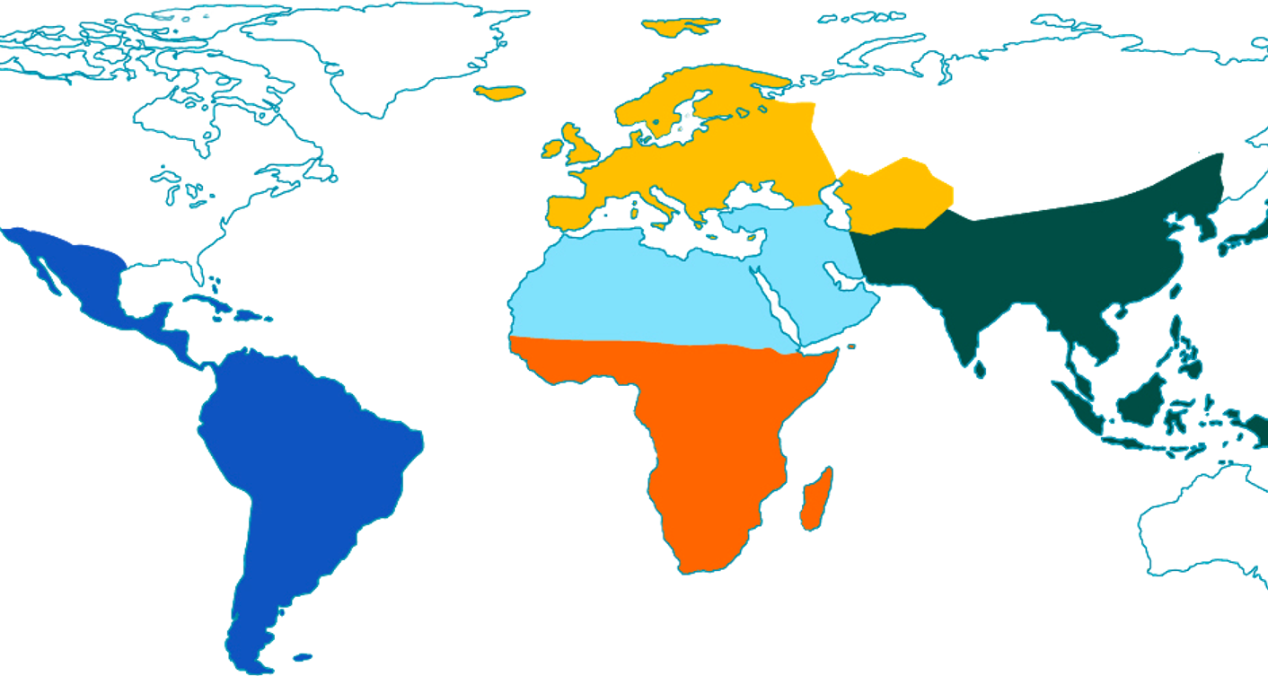 Mappa del mondo che mostra le aree dove UNICEF impiega i fondi del 5x1000, evidenziando regioni in Africa, Asia, Europa, America Latina e Medio Oriente